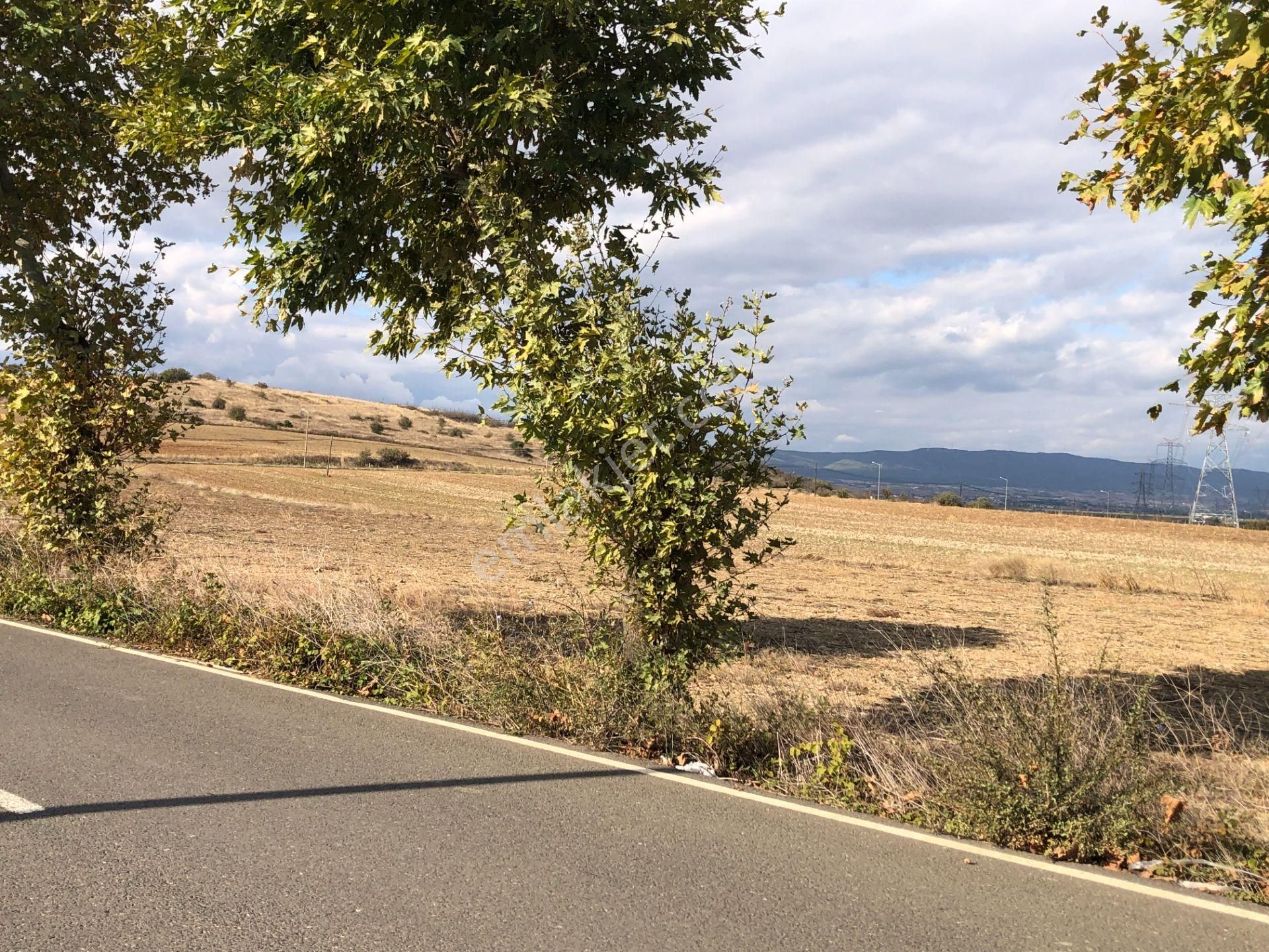 Şarköy De Işık Emlaktan Gelibolu Kavak Mah De 30200 M2 Üç Parca Tarla - Görsel 11