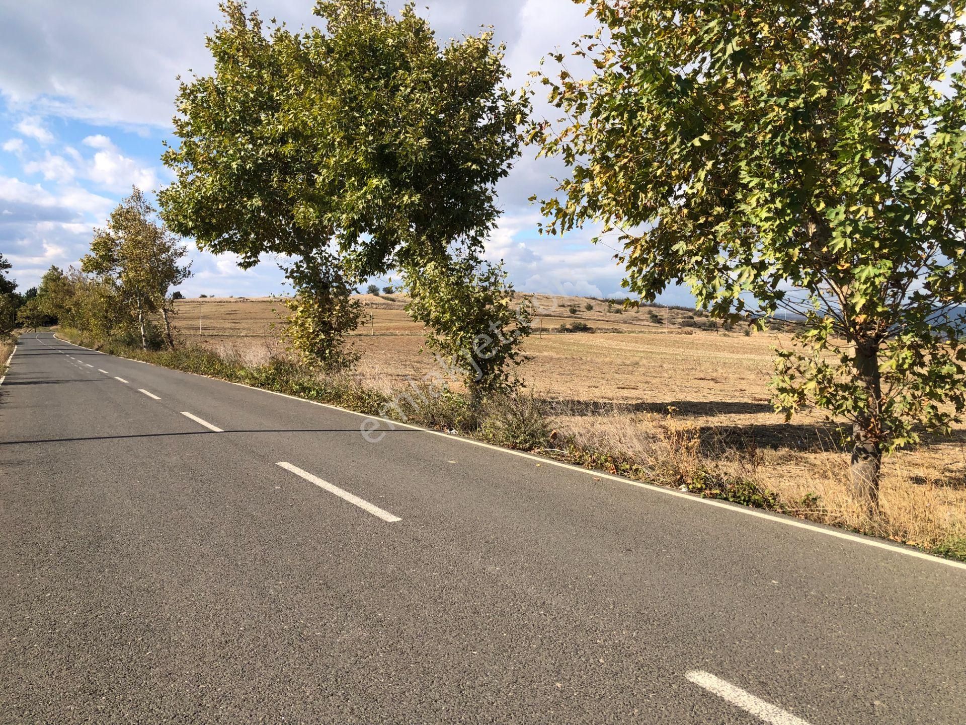 Şarköy De Işık Emlaktan Gelibolu Kavak Mah De 30200 M2 Üç Parca Tarla - Görsel 15