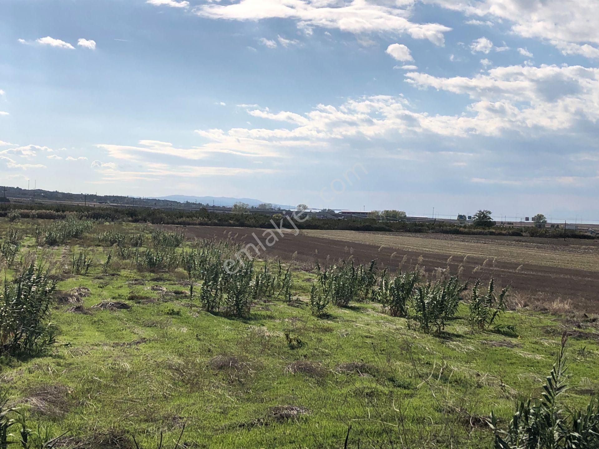 Şarköy De Işık Emlaktan Gelibolu Kavak Mah De 30200 M2 Üç Parca Tarla - Görsel 2