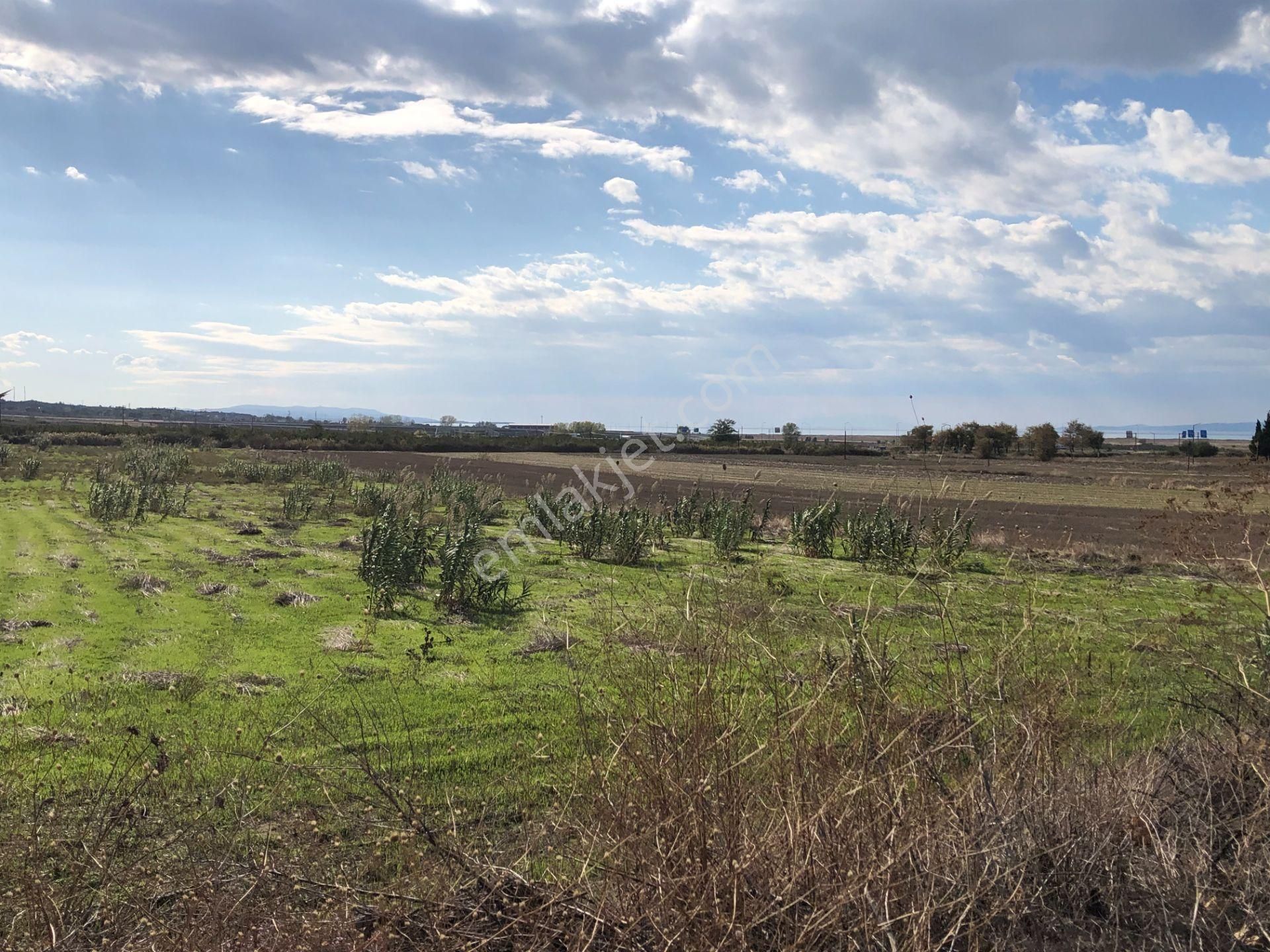 Şarköy De Işık Emlaktan Gelibolu Kavak Mah De 30200 M2 Üç Parca Tarla - Görsel 7