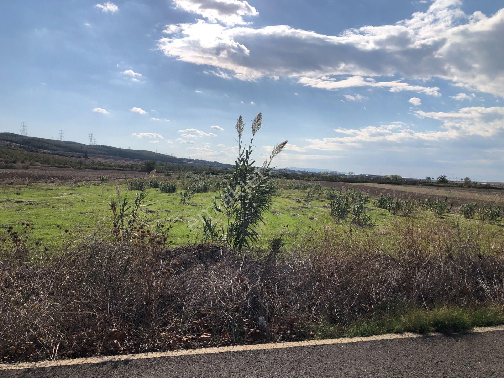 Şarköy De Işık Emlaktan Gelibolu Kavak Mah De 30200 M2 Üç Parca Tarla - Görsel 14