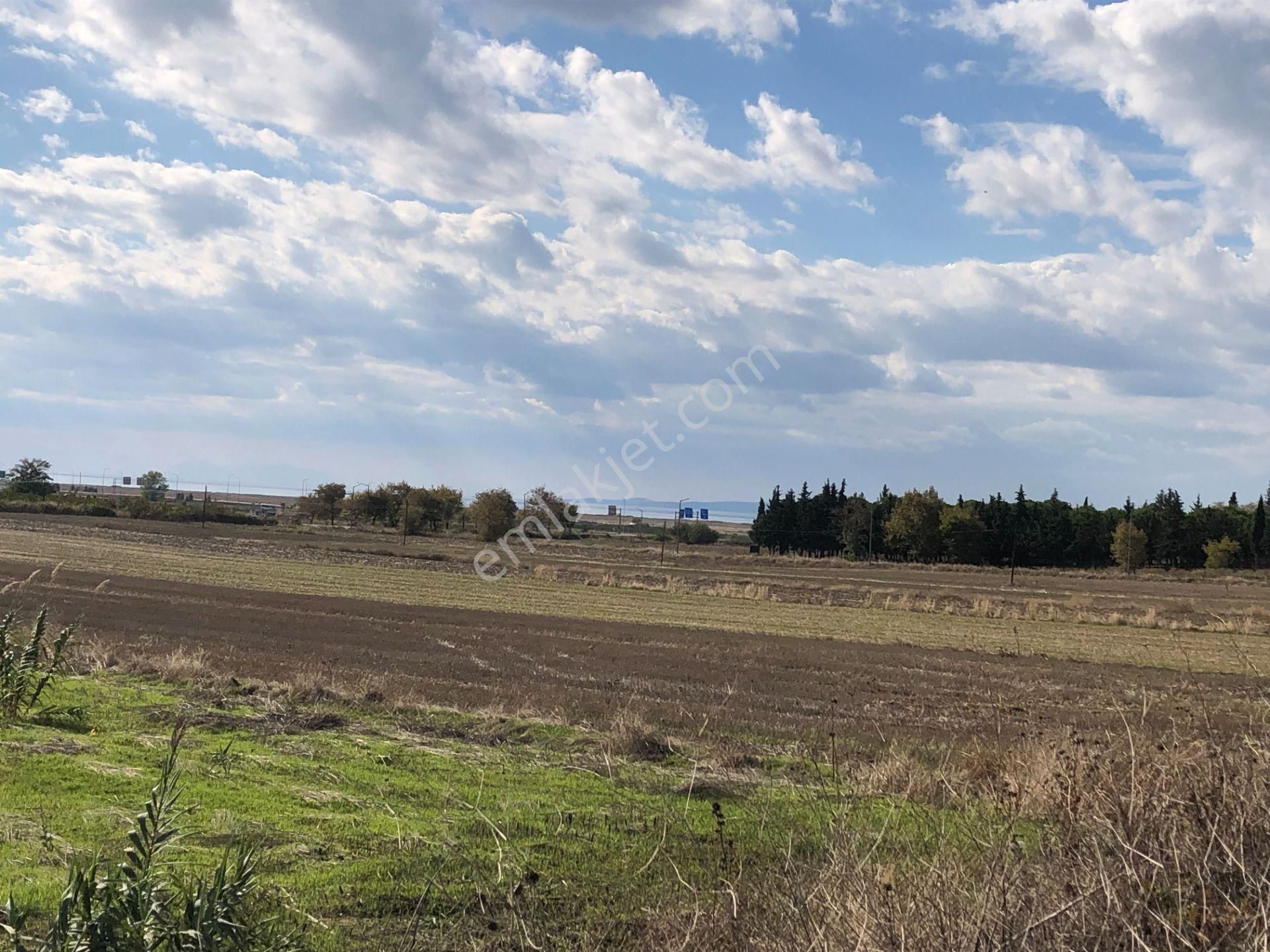 Şarköy De Işık Emlaktan Gelibolu Kavak Mah De 30200 M2 Üç Parca Tarla