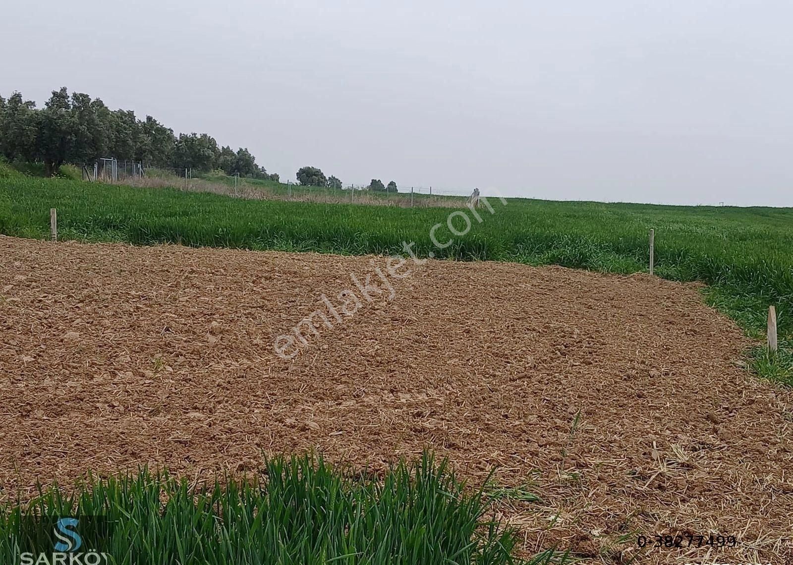 Mürefte Villa İmarlı Deniz Manzaralı Satılık Arsa - Görsel 6