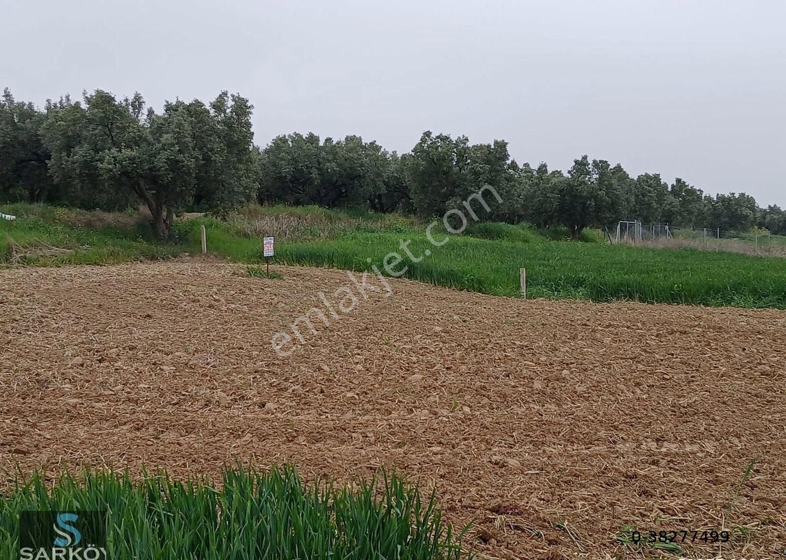 Mürefte Villa İmarlı Deniz Manzaralı Satılık Arsa - Görsel 4