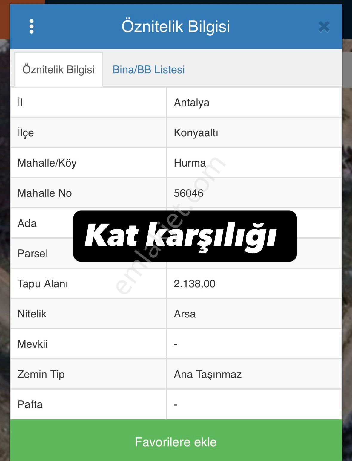 Hurma Da Kat Karşılığı