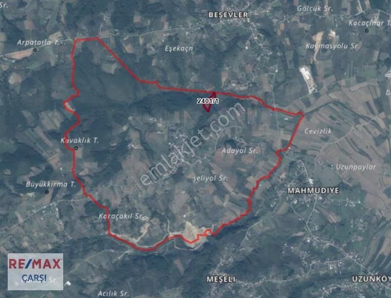 Remax Çarşı'dan Serdivanda Satılık Tarla - Görsel 4