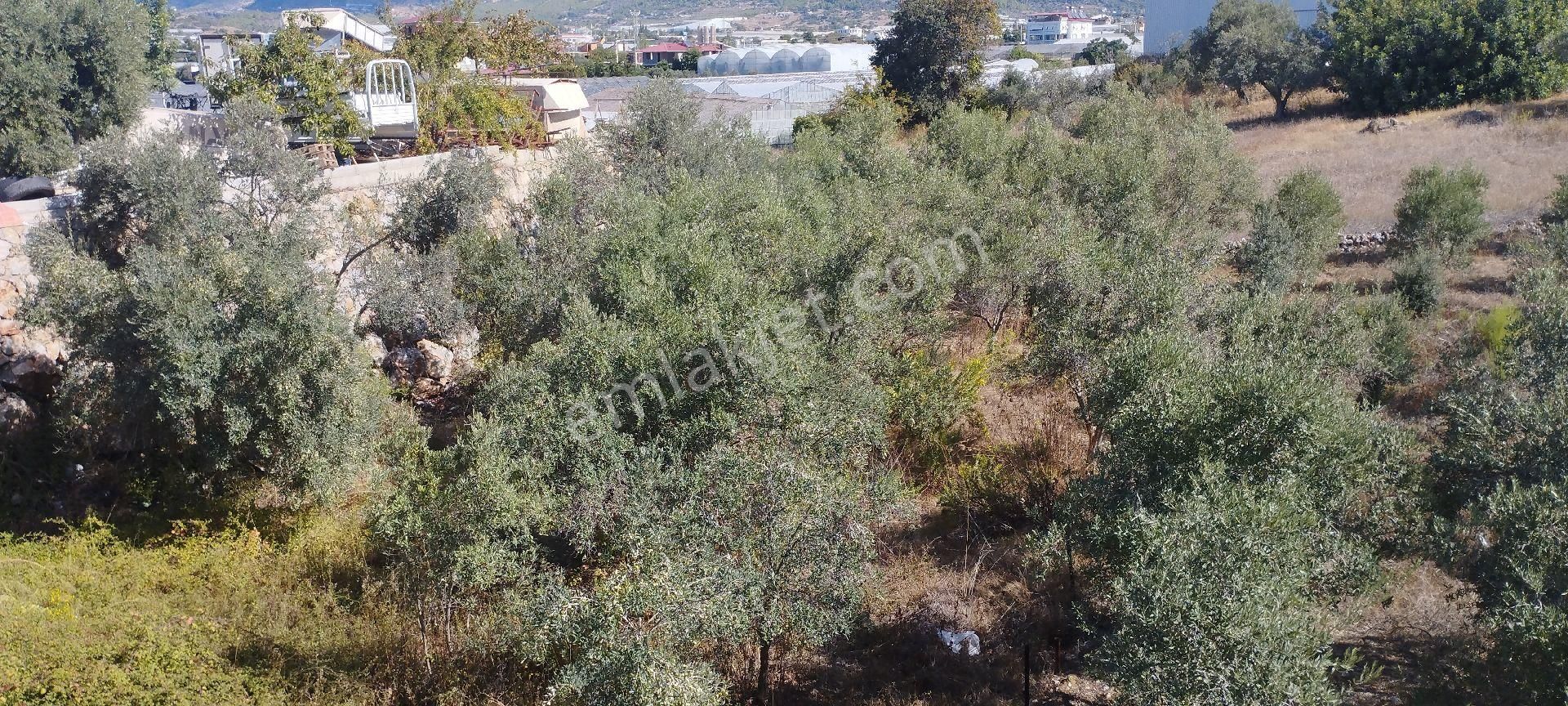 Gazipaşa D 400 Yol Üstü Avm Karşı Satılık