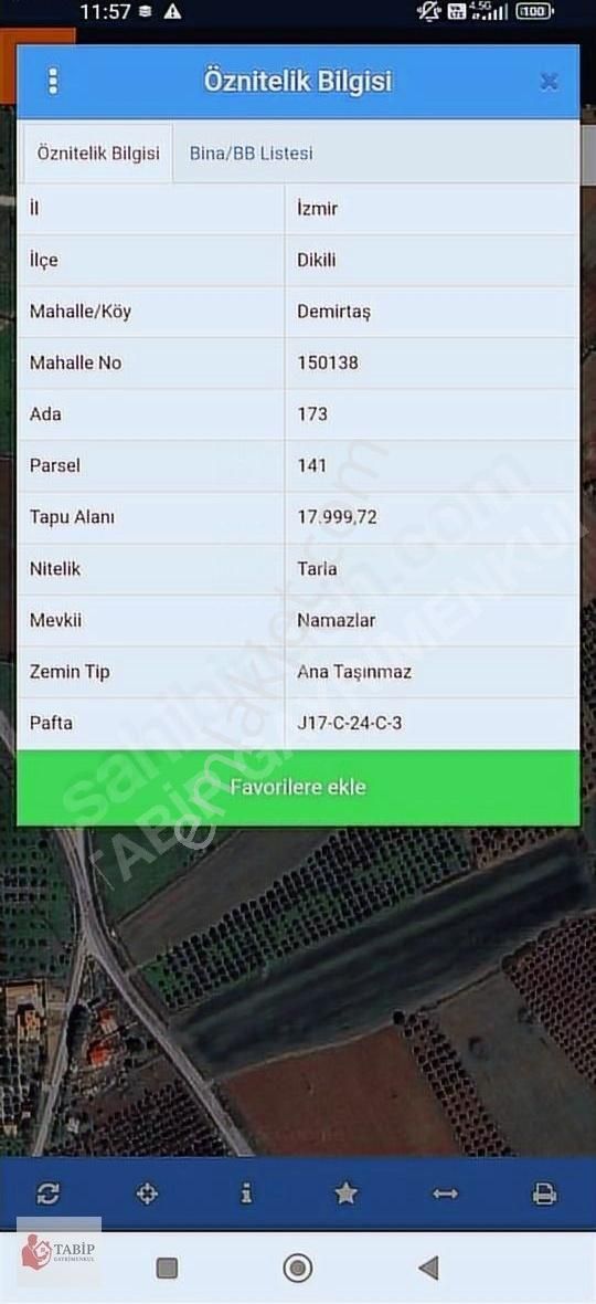 İzmir Dikili 18 Dönüm Yola Cepheli - Görsel 3