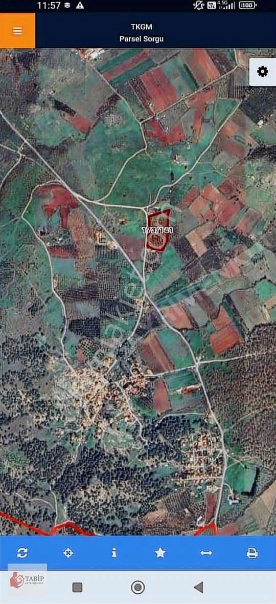 İzmir Dikili 18 Dönüm Yola Cepheli - Görsel 2