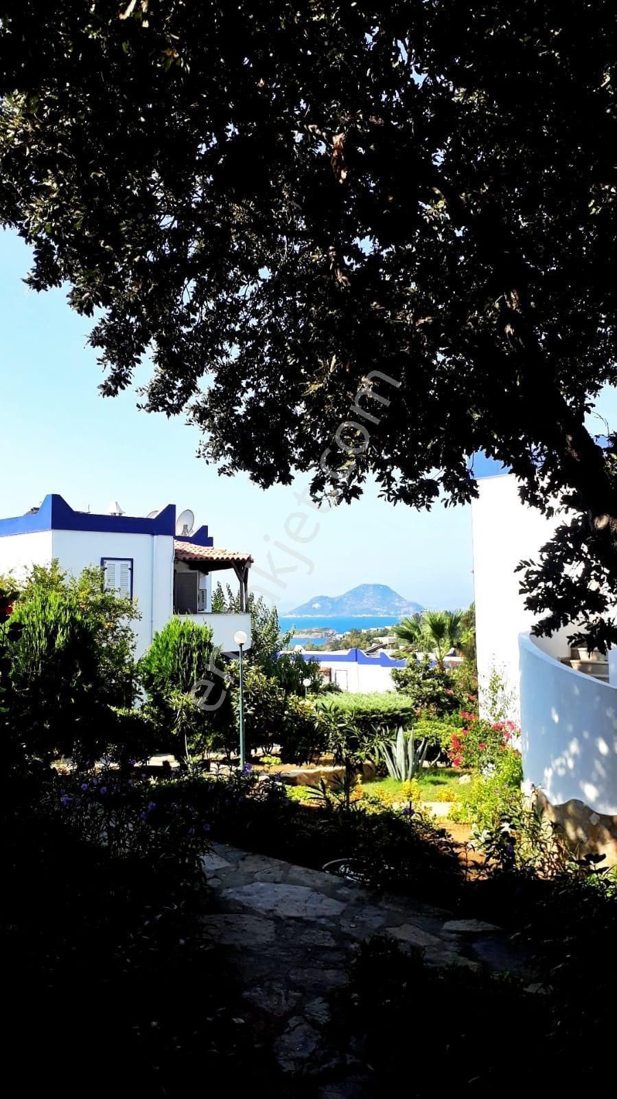 Bodrum'da Sahibinden Kiralık 1+1 Lüx Eşyalı Daire - 25.000tl - Görsel 14