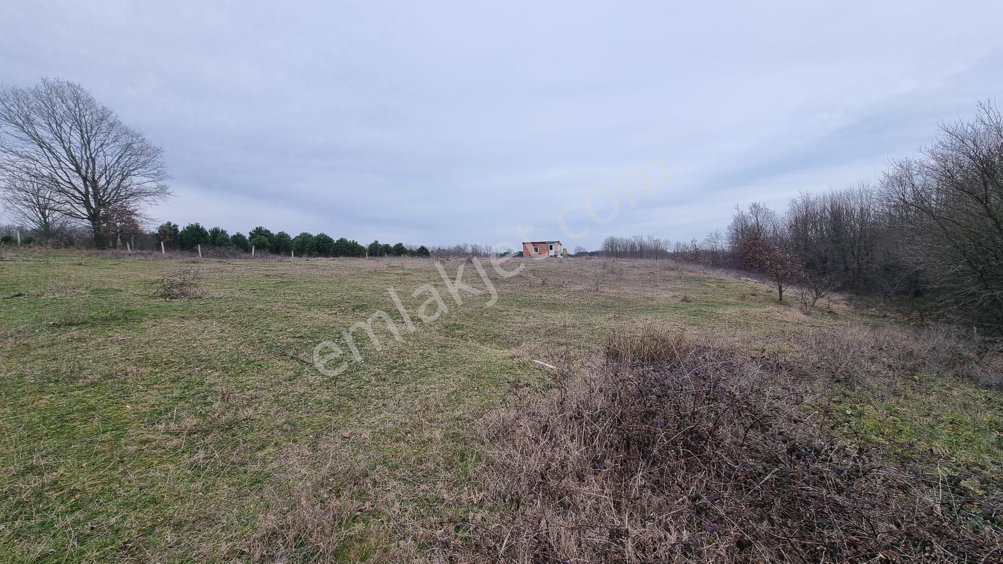 Yatırımlık Büyük Fırsat- Silivri Sayalar Köyü