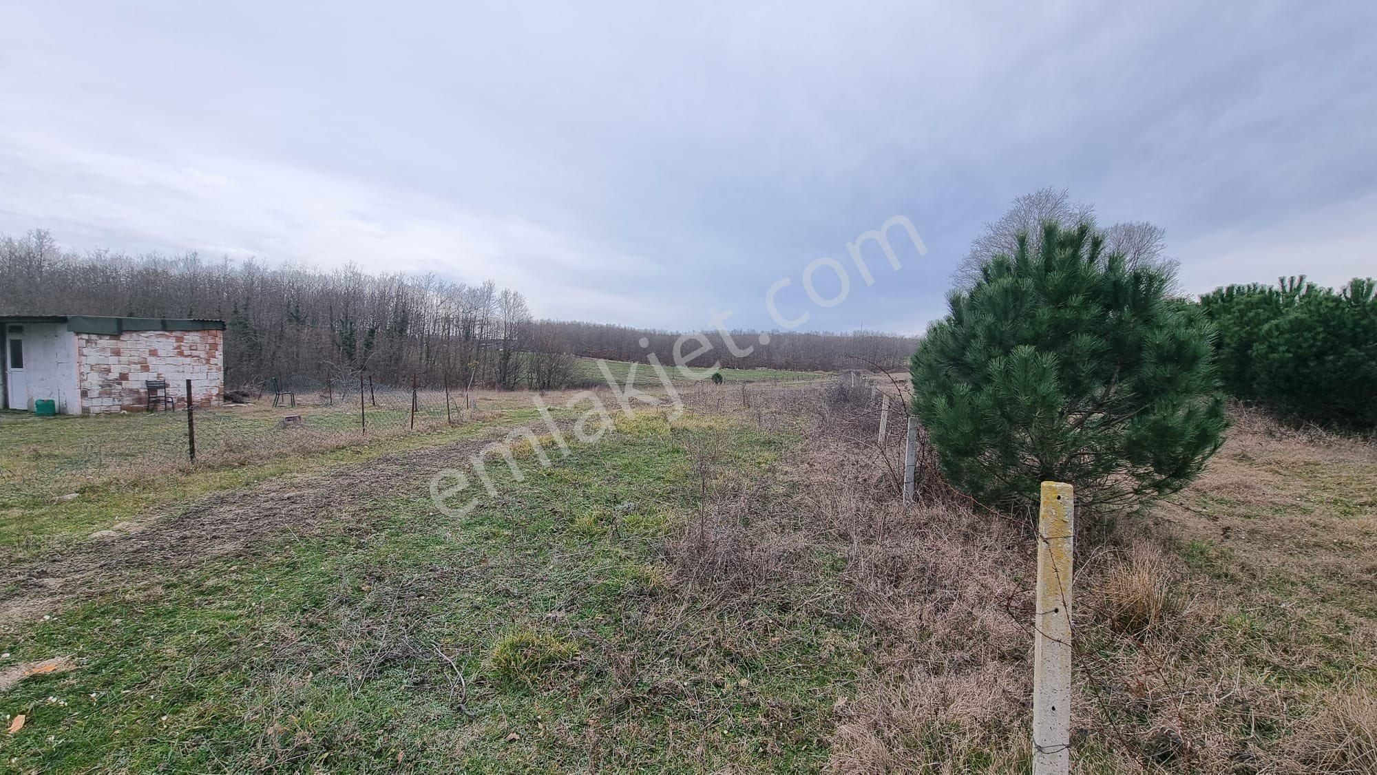 Yatırımlık Büyük Fırsat- Silivri Sayalar Köyü - Görsel 4