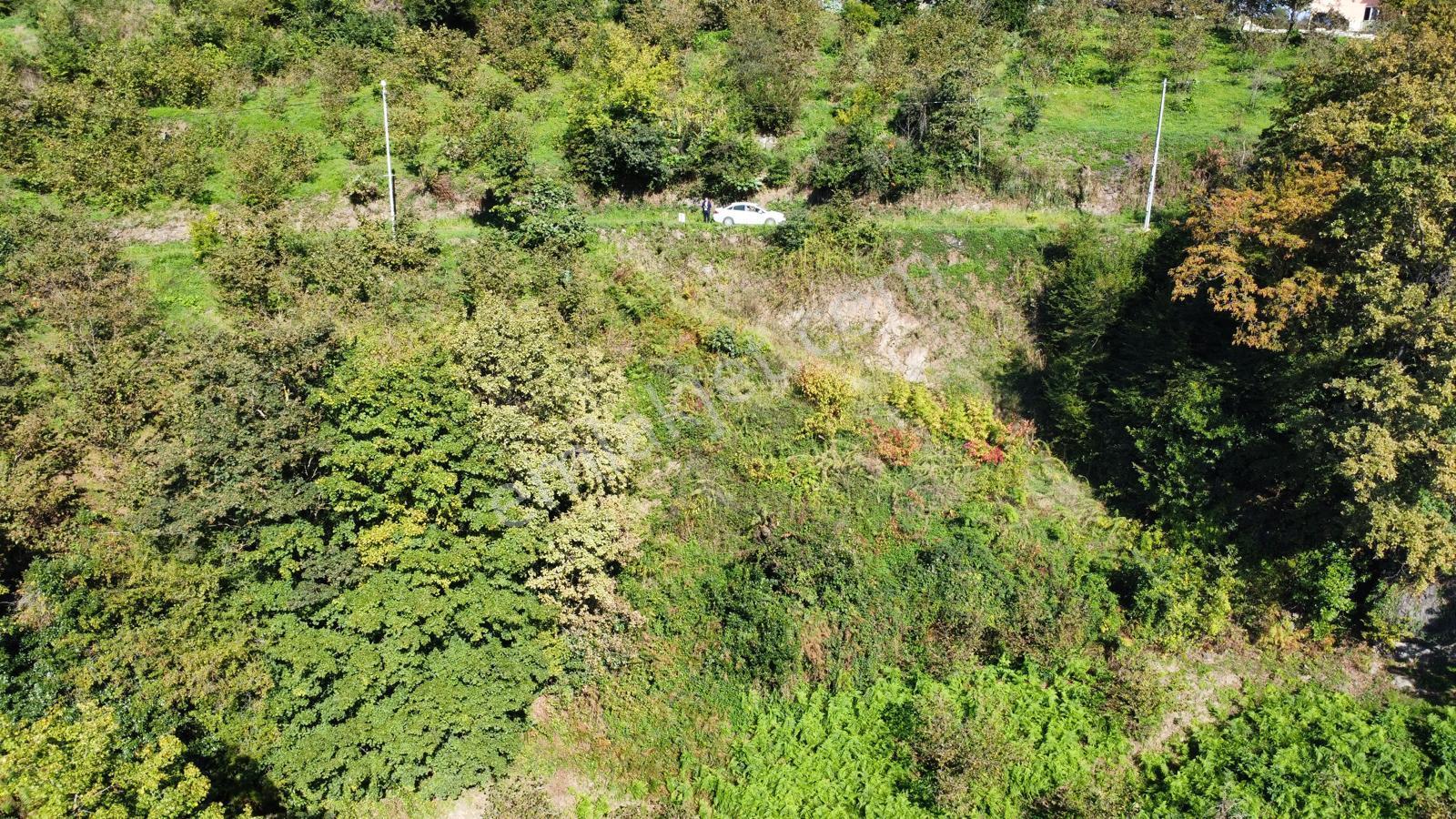 Trabzon Yalıncak'ta Satılık Arsa - Görsel 20