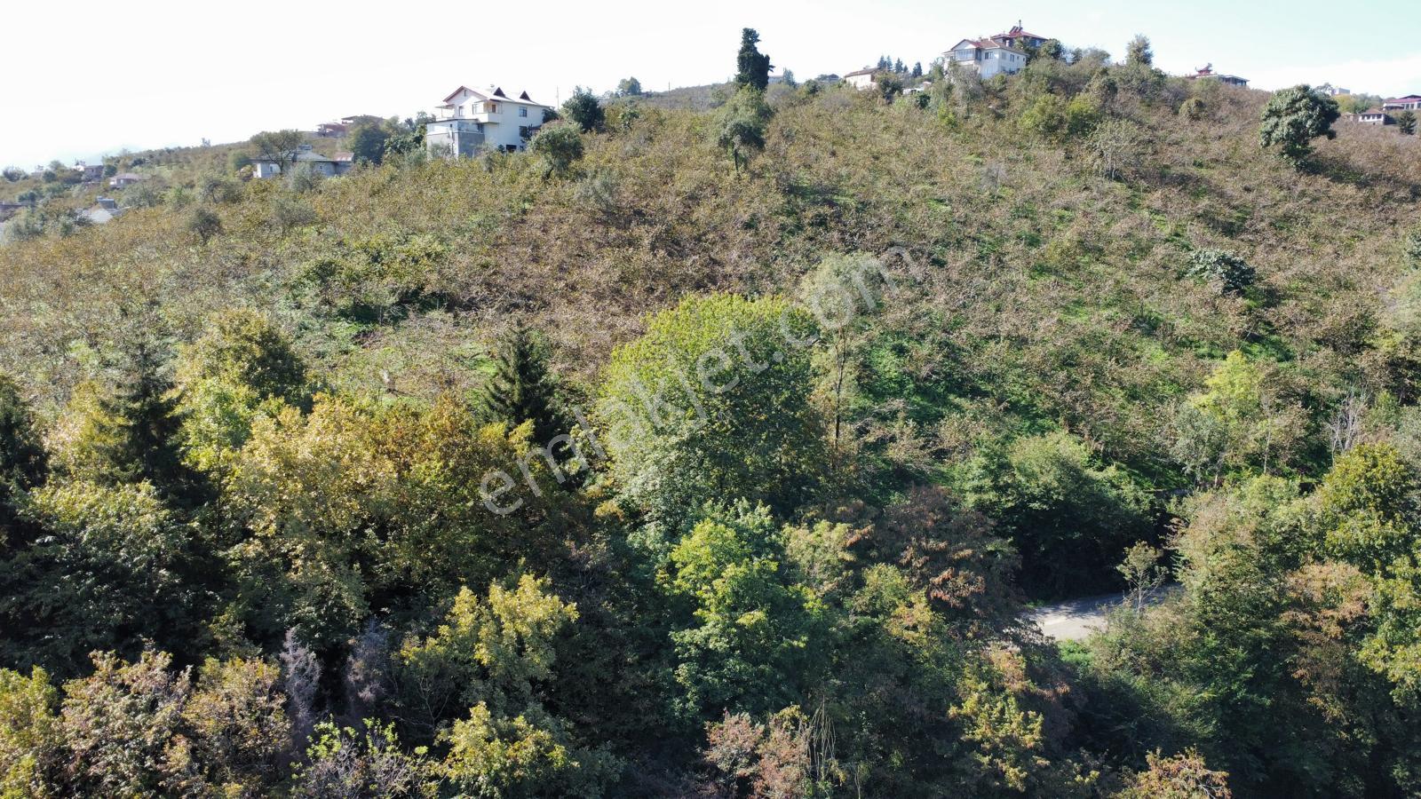 Trabzon Yalıncak'ta Satılık Arsa - Görsel 25
