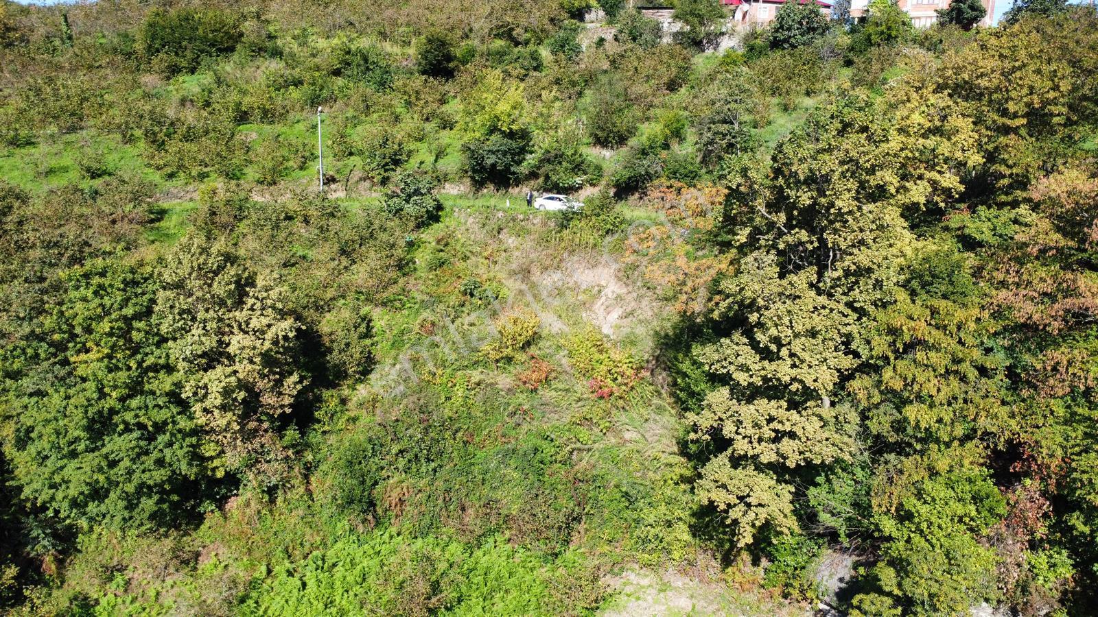 Trabzon Yalıncak'ta Satılık Arsa - Görsel 32