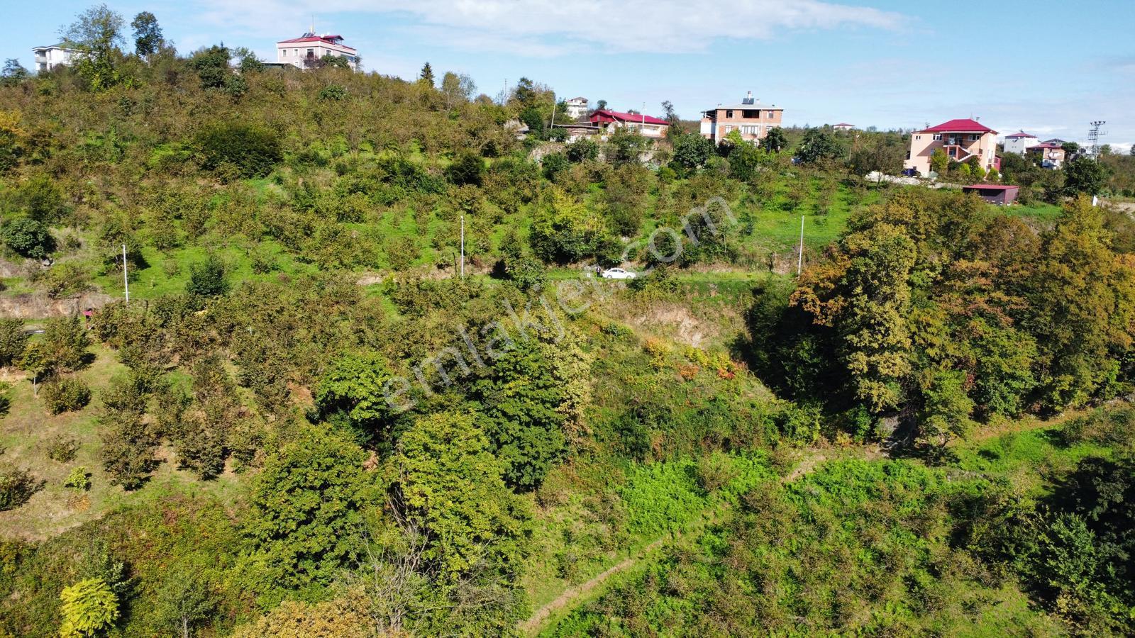 Trabzon Yalıncak'ta Satılık Arsa - Görsel 14