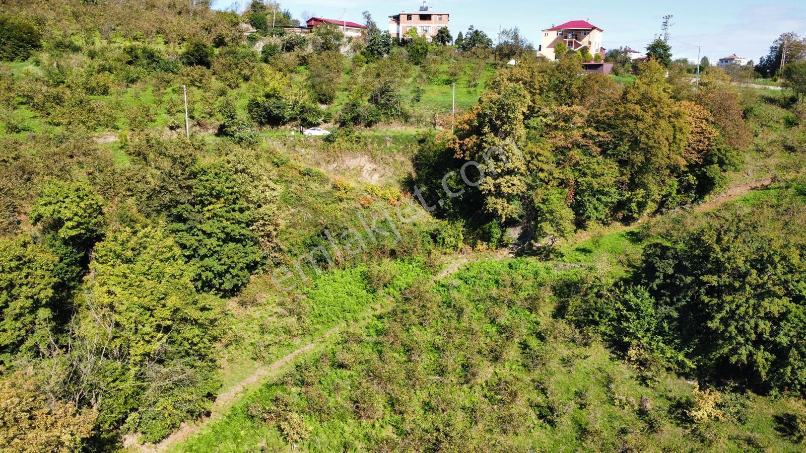 Trabzon Yalıncak'ta Satılık Arsa - Görsel 29