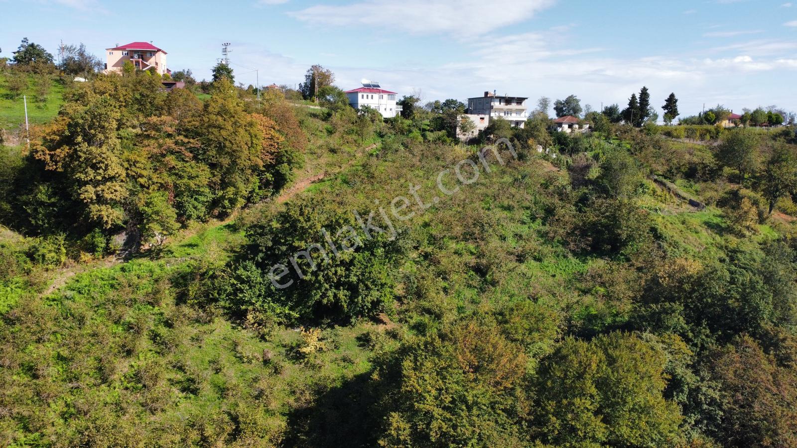 Trabzon Yalıncak'ta Satılık Arsa - Görsel 18