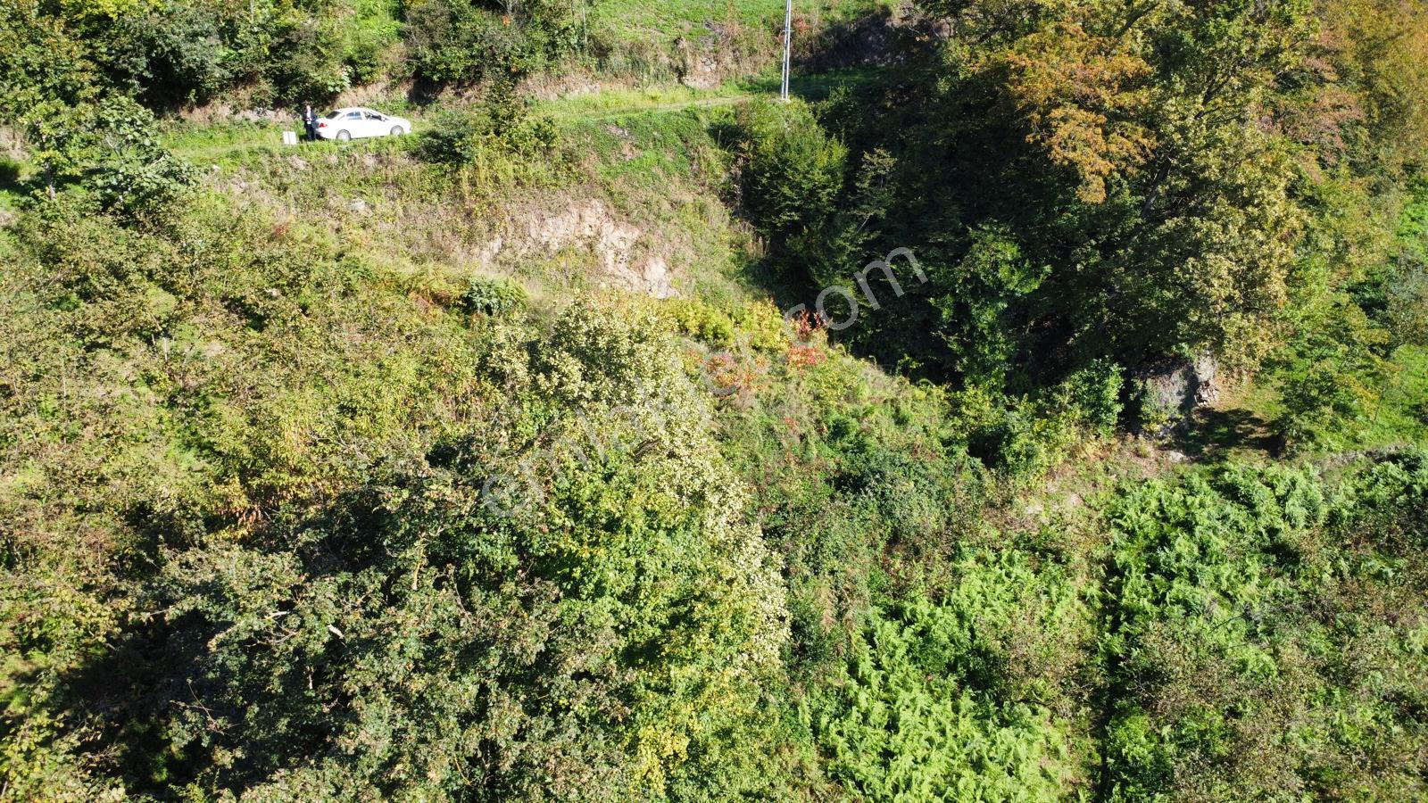 Trabzon Yalıncak'ta Satılık Arsa - Görsel 24