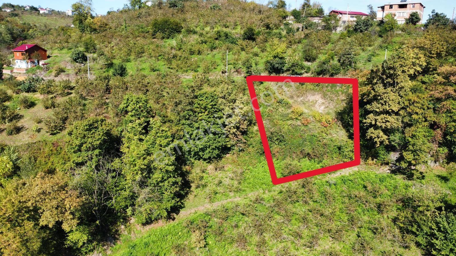 Trabzon Yalıncak'ta Satılık Arsa - Görsel 28