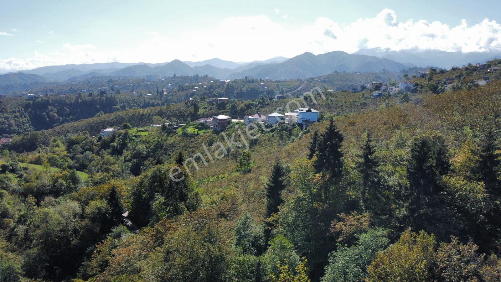 Trabzon Yalıncak'ta Satılık Arsa - Görsel 12