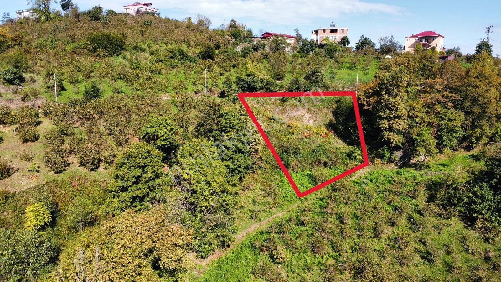 Trabzon Yalıncak'ta Satılık Arsa - Görsel 13