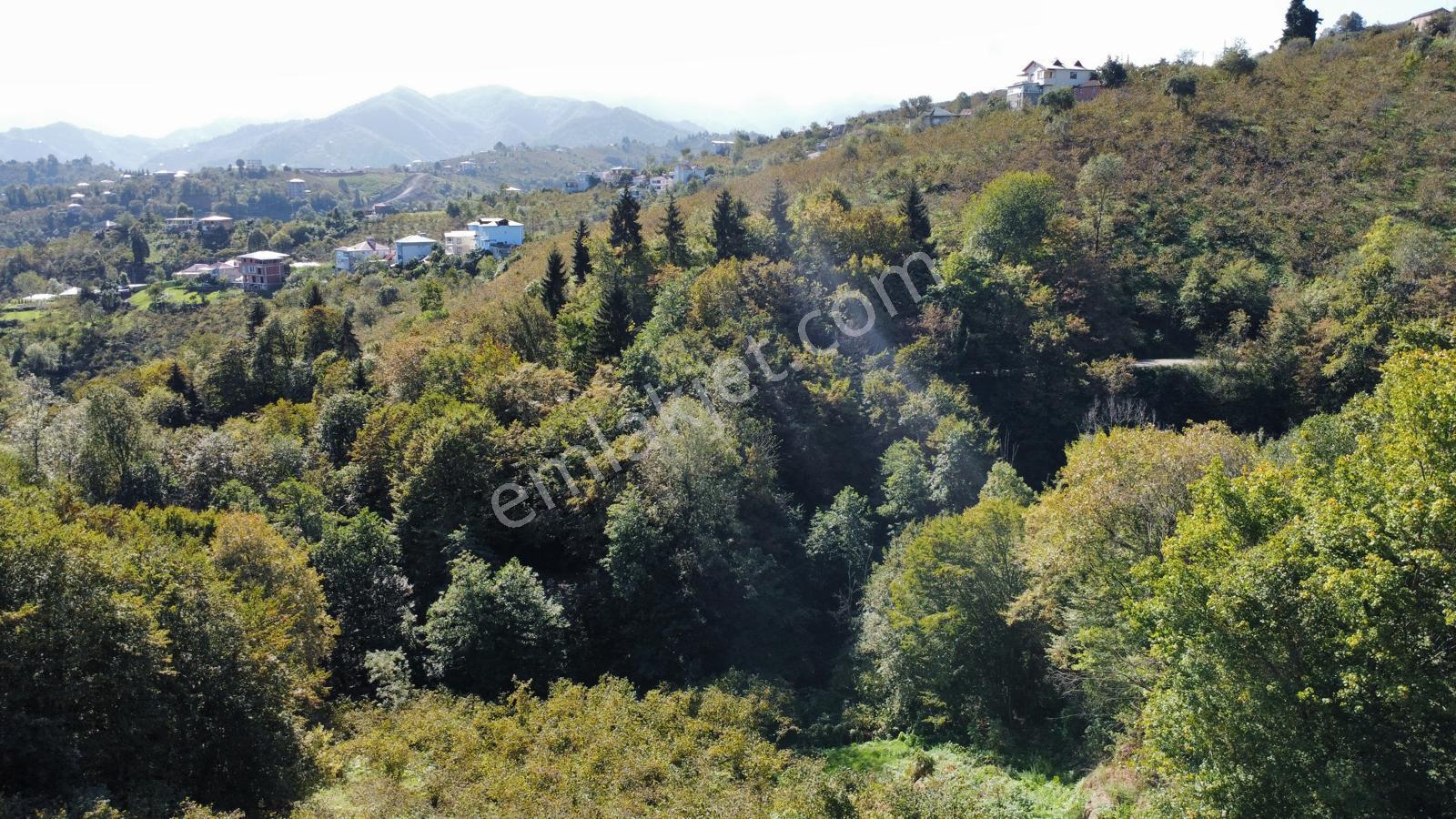 Trabzon Yalıncak'ta Satılık Arsa - Görsel 30
