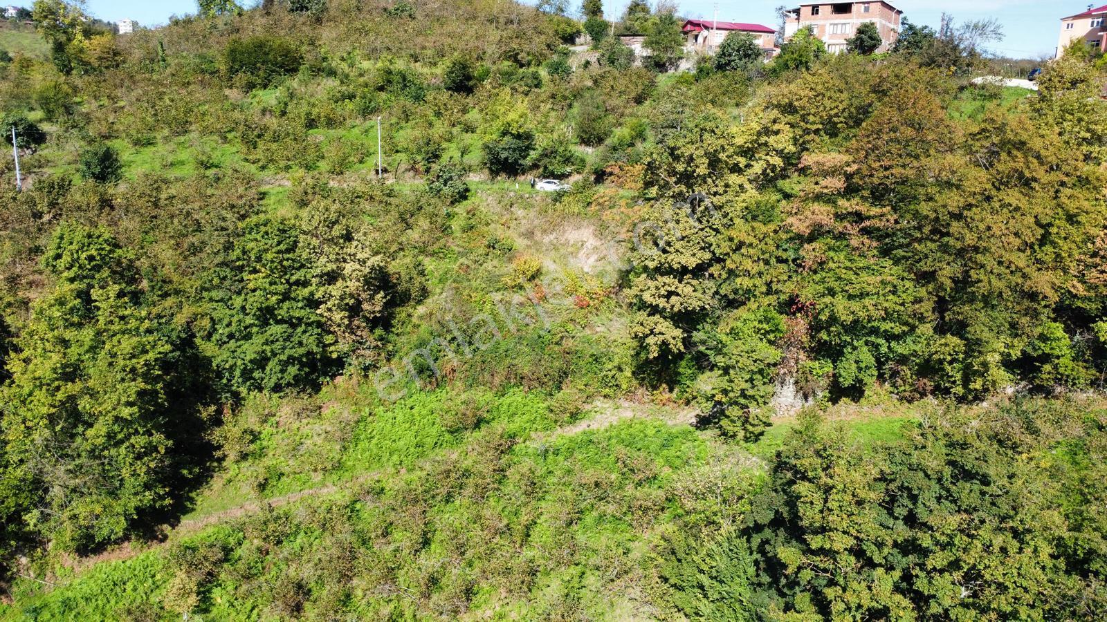 Trabzon Yalıncak'ta Satılık Arsa - Görsel 27