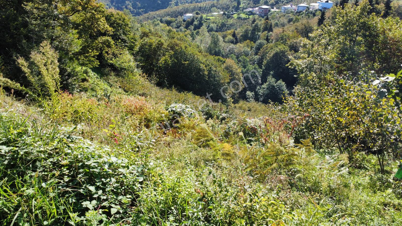 Trabzon Yalıncak'ta Satılık Arsa - Görsel 33