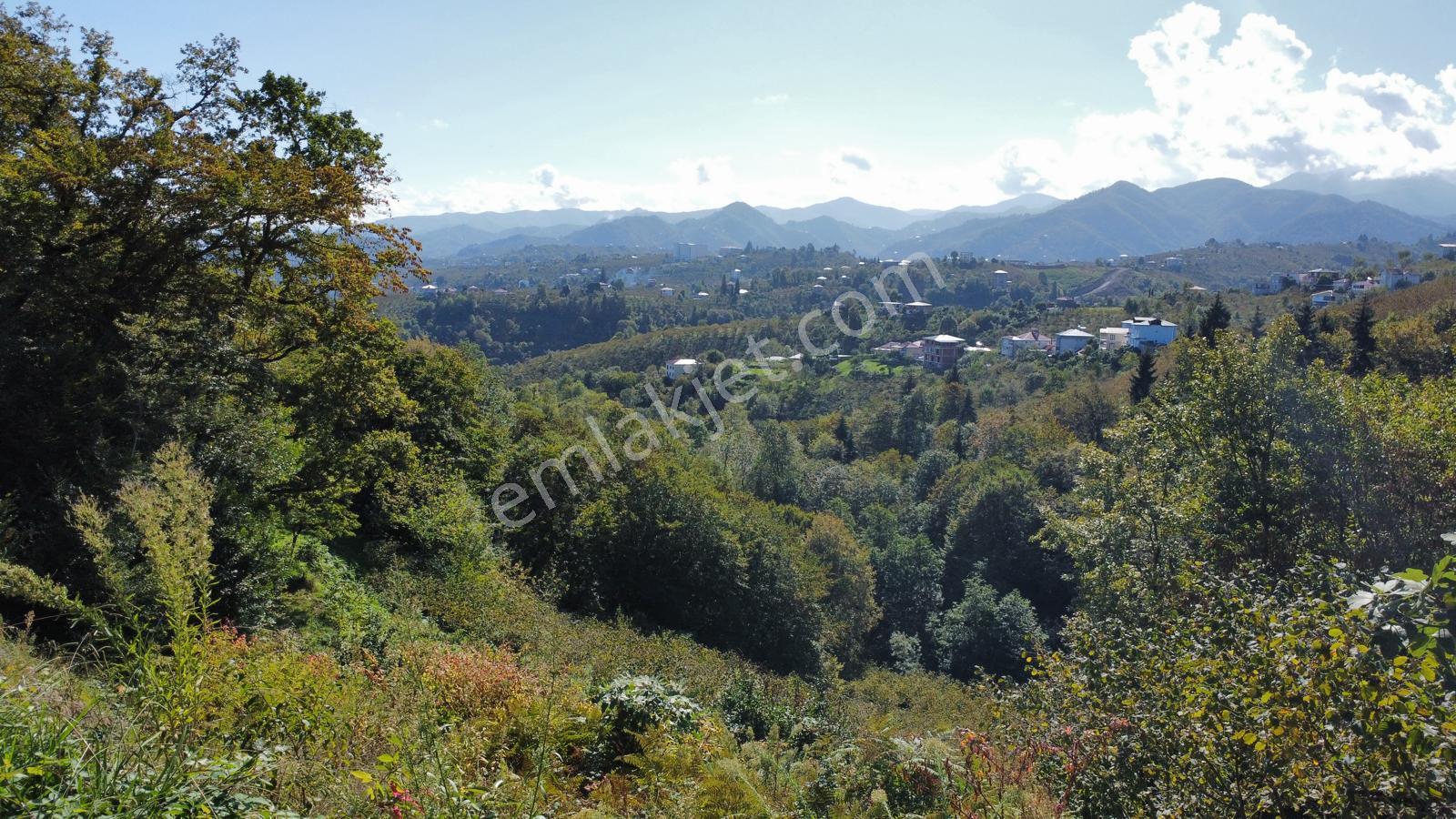 Trabzon Yalıncak'ta Satılık Arsa - Görsel 34