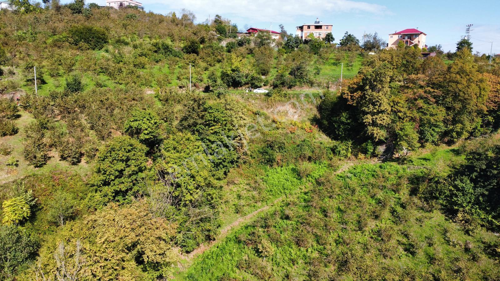 Trabzon Yalıncak'ta Satılık Arsa - Görsel 7
