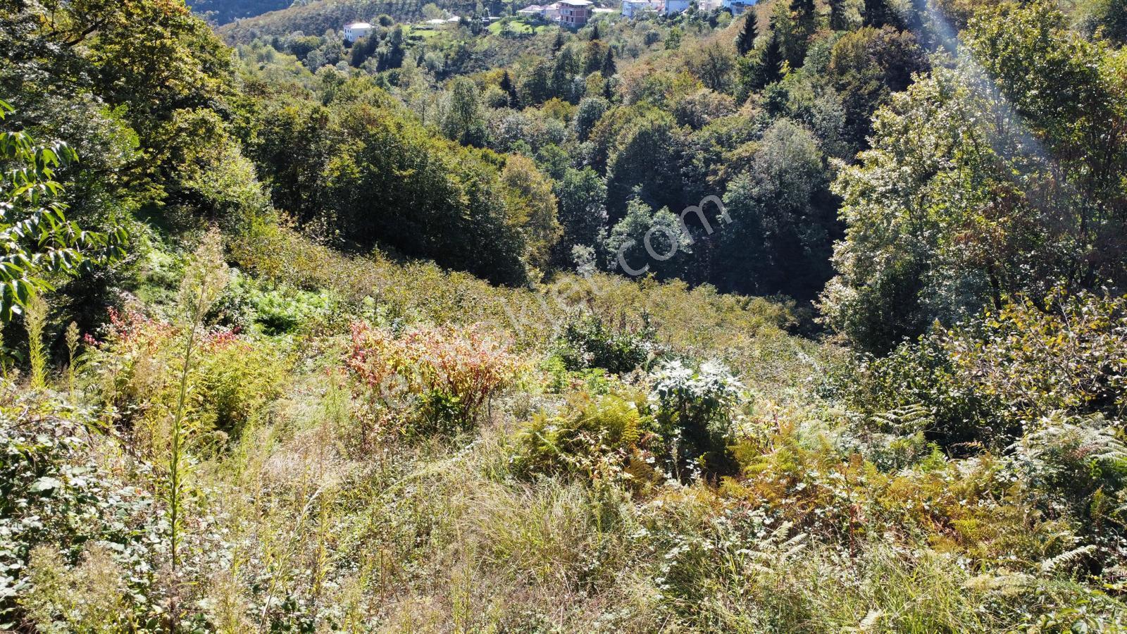 Trabzon Yalıncak'ta Satılık Arsa - Görsel 35