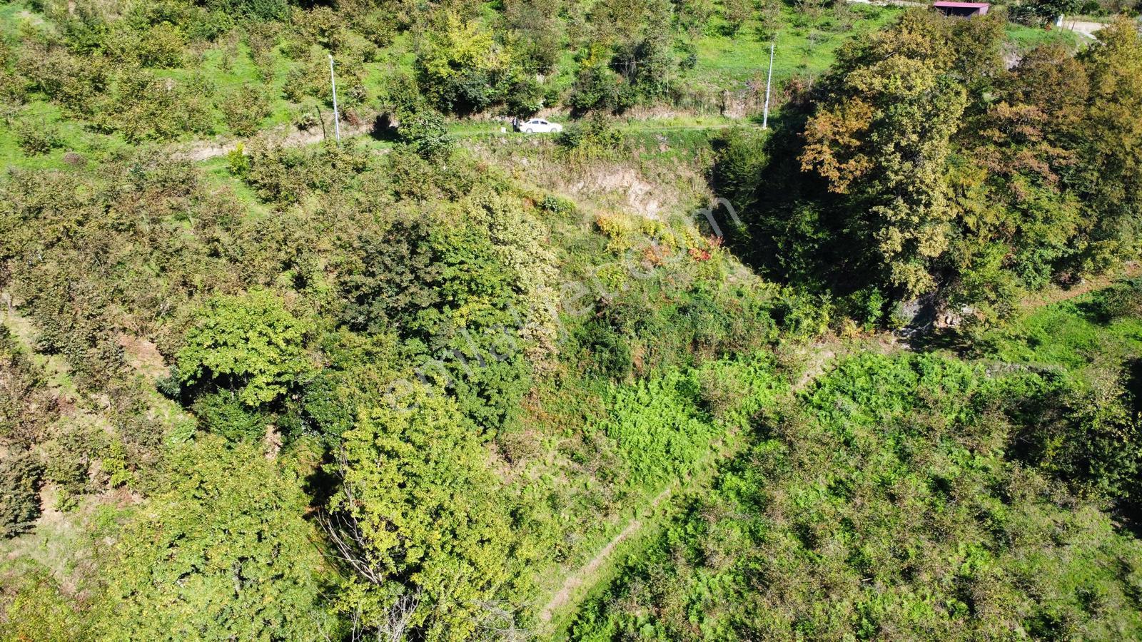 Trabzon Yalıncak'ta Satılık Arsa - Görsel 8