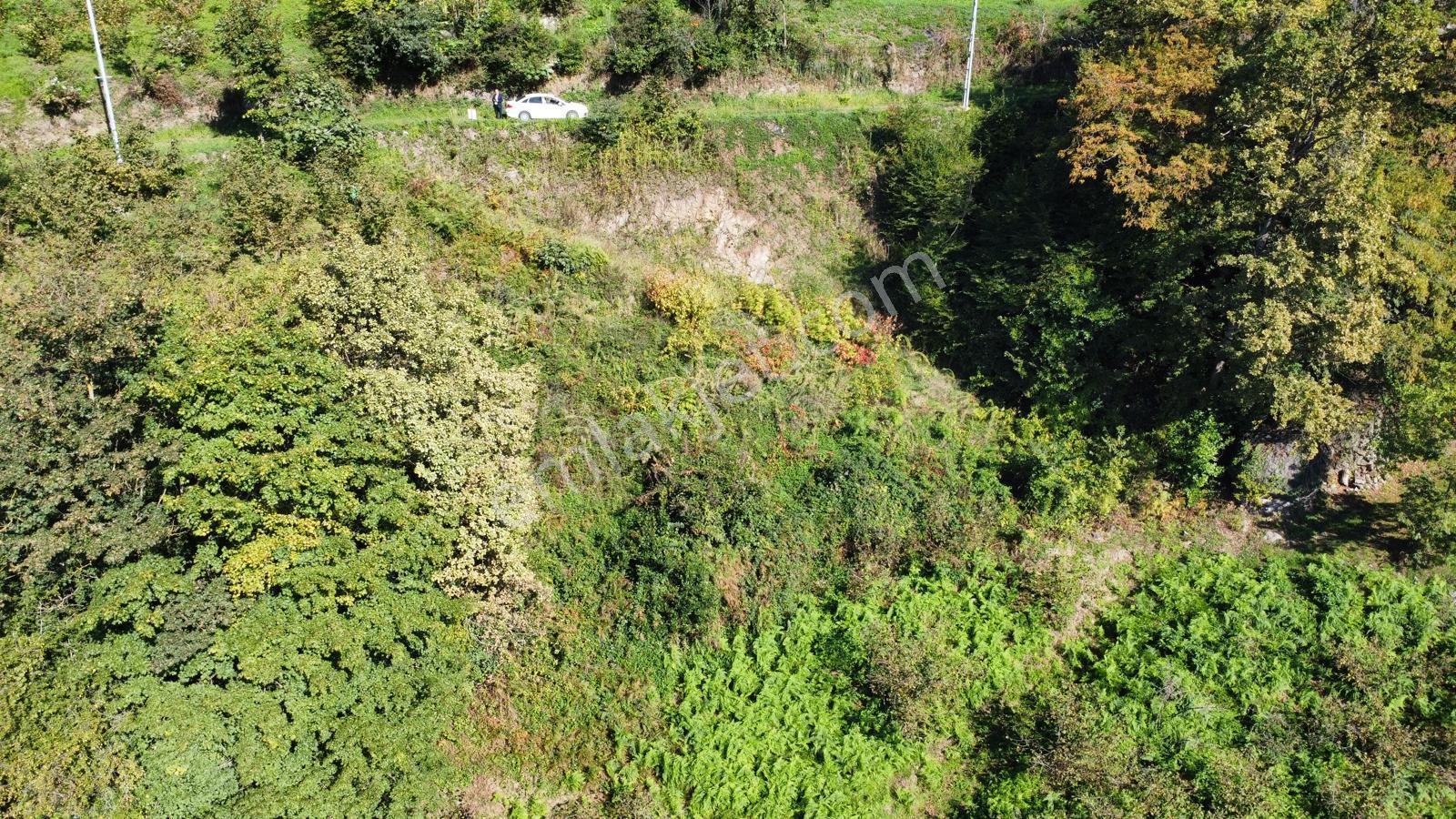 Trabzon Yalıncak'ta Satılık Arsa - Görsel 22