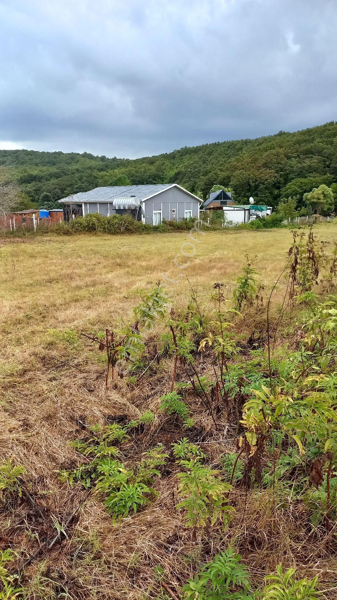 Sahibinden Çatalca Kalfa Mah 304 M2 Muvaffakatlı Satılık Hisse