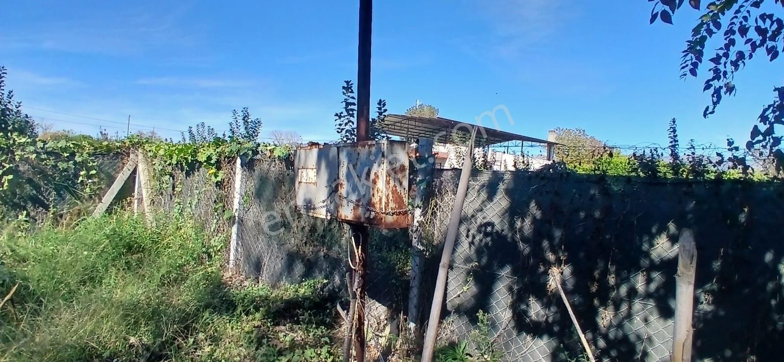 Aydın Nazilli İsabeyli Mahallesinde Satılık Hobi Bahçesi - Görsel 20