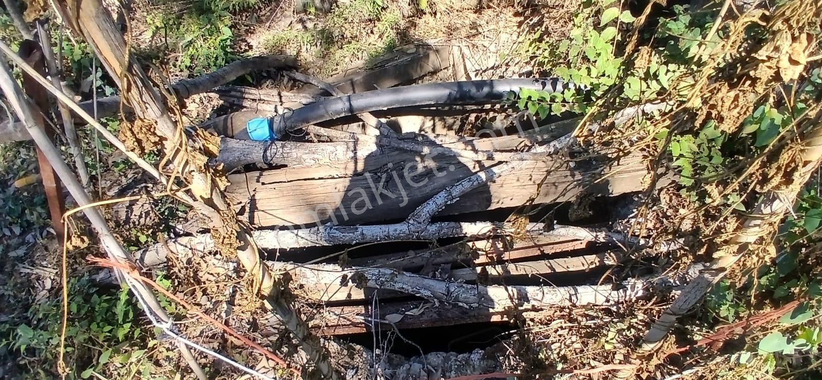 Aydın Nazilli İsabeyli Mahallesinde Satılık Hobi Bahçesi - Görsel 21