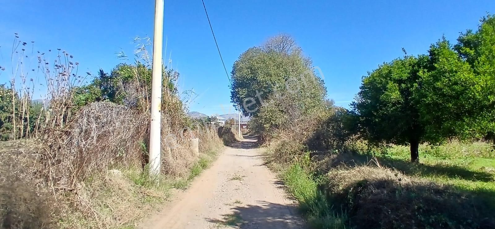 Aydın Nazilli İsabeyli Mahallesinde Satılık Hobi Bahçesi - Görsel 6