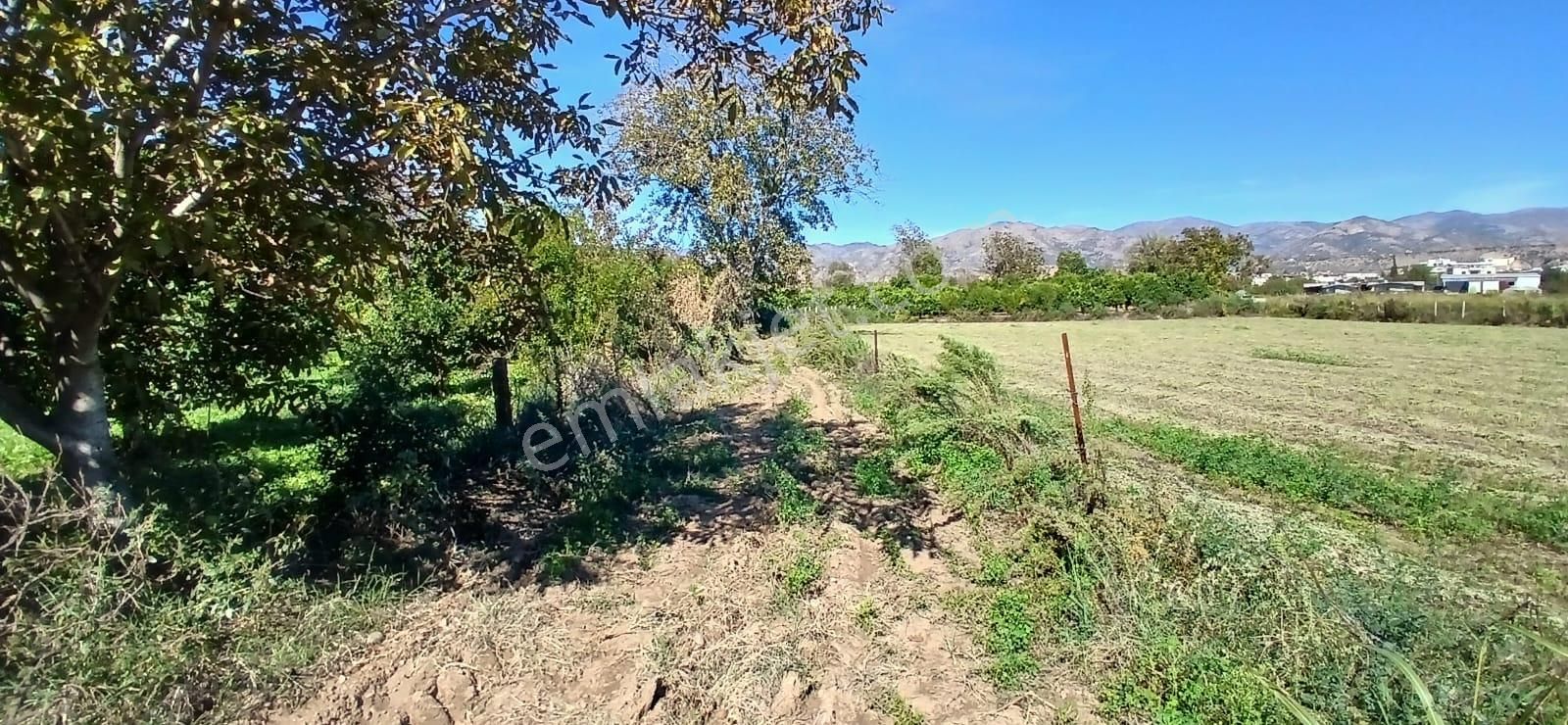 Aydın Nazilli İsabeyli Mahallesinde Satılık Hobi Bahçesi - Görsel 19