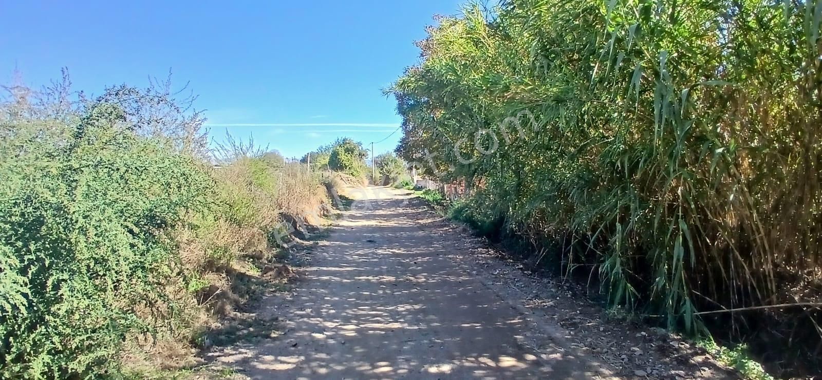 Aydın Nazilli İsabeyli Mahallesinde Satılık Hobi Bahçesi - Görsel 15