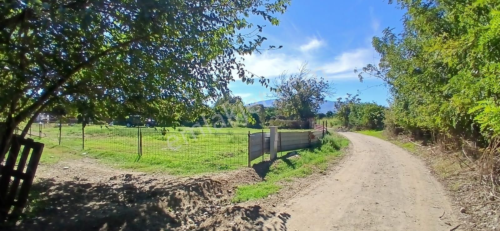 Aydın Nazilli İsabeyli Mahallesinde Satılık Hobi Bahçesi - Görsel 7