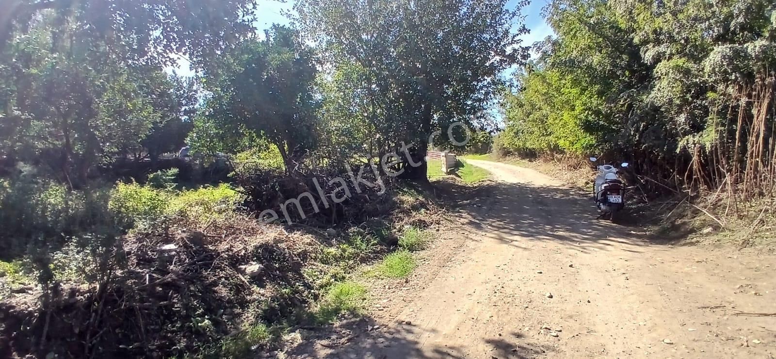 Aydın Nazilli İsabeyli Mahallesinde Satılık Hobi Bahçesi - Görsel 14