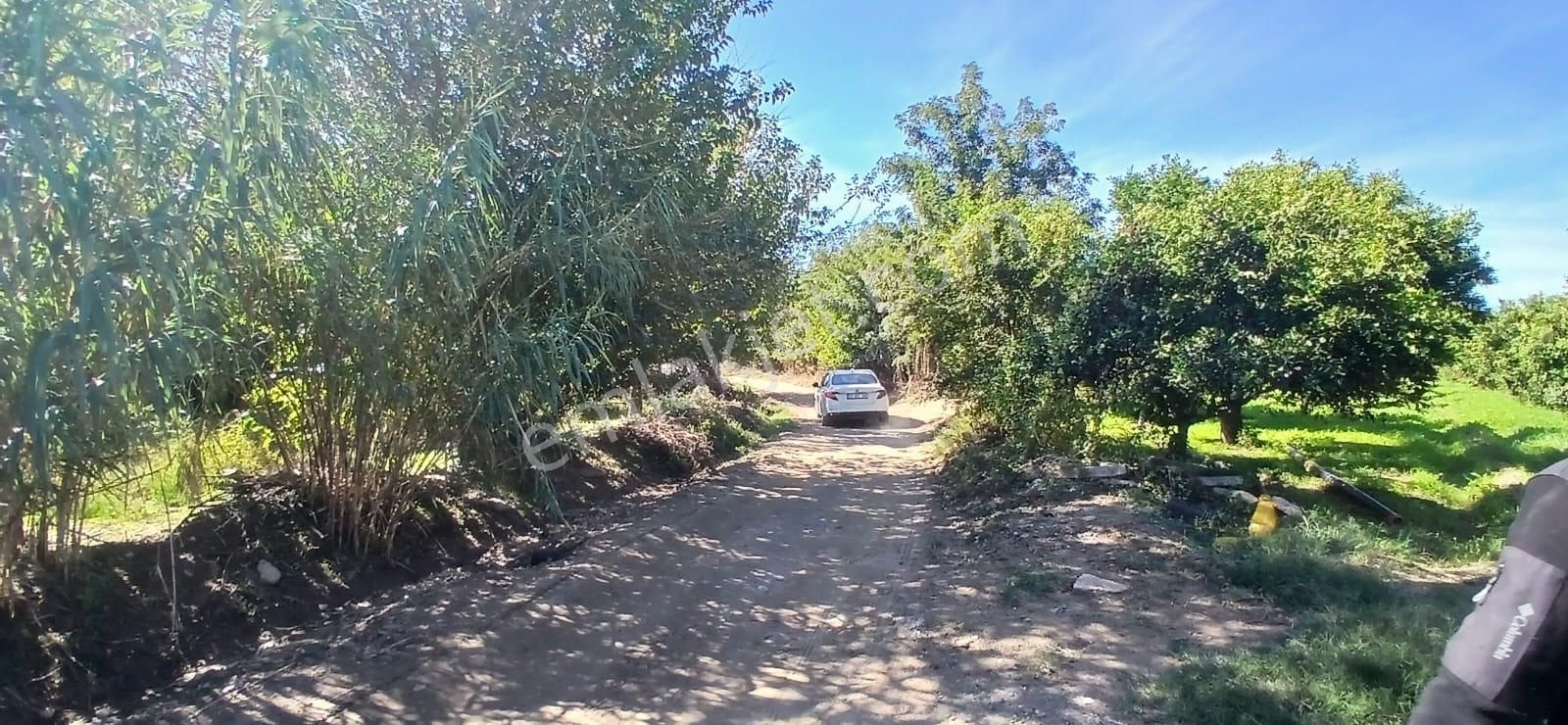 Aydın Nazilli İsabeyli Mahallesinde Satılık Hobi Bahçesi - Görsel 11