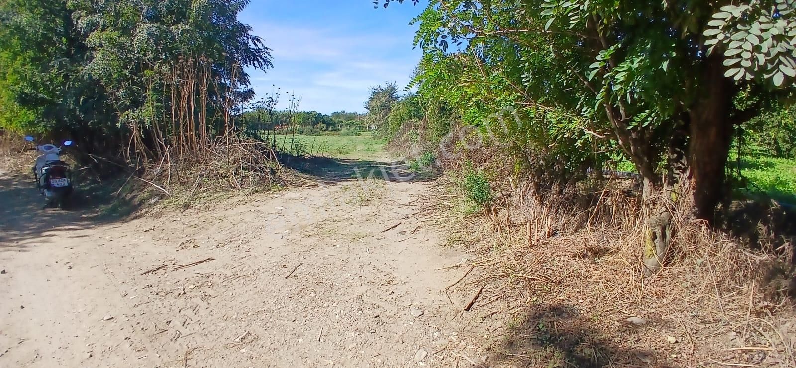 Aydın Nazilli İsabeyli Mahallesinde Satılık Hobi Bahçesi - Görsel 13