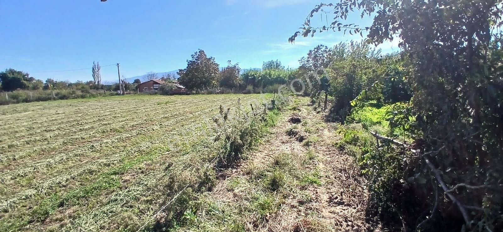 Aydın Nazilli İsabeyli Mahallesinde Satılık Hobi Bahçesi - Görsel 17