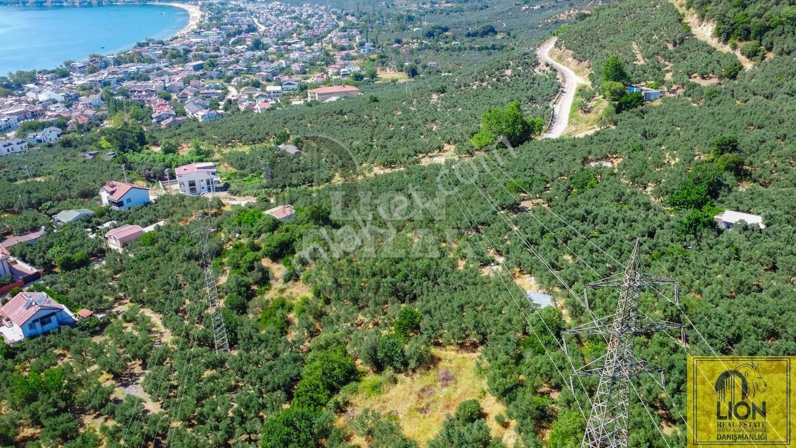 🟨⬛lıon Emlak'tan Erdek Ocaklar'da Merkeze Yakın Konumda 1.250m² Satılık Zeytinlik⬛🟨 - Görsel 2