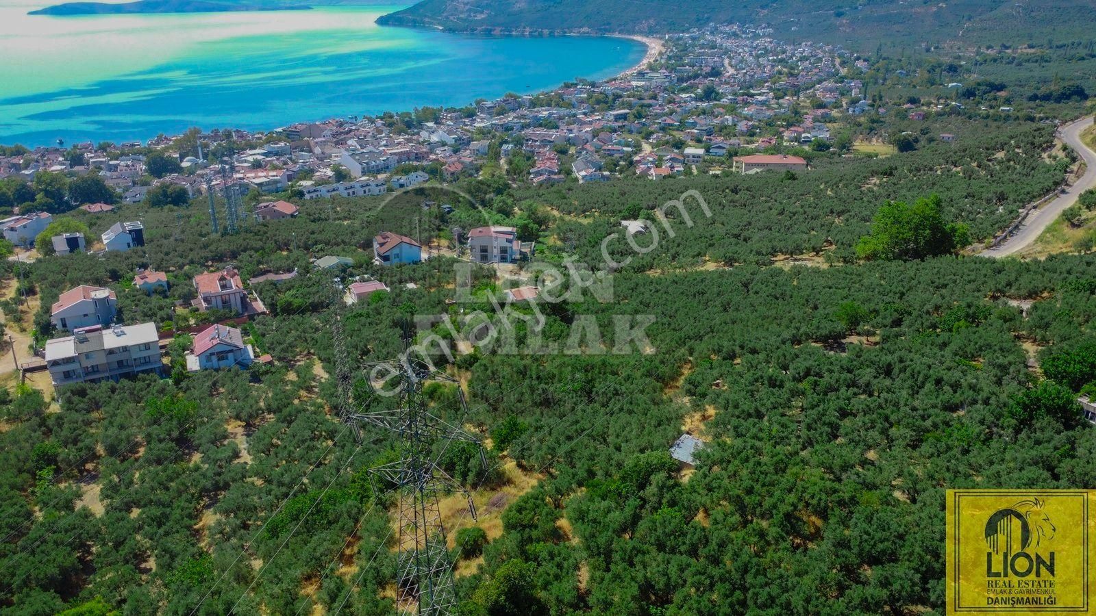 🟨⬛lıon Emlak'tan Erdek Ocaklar'da Merkeze Yakın Konumda 1.250m² Satılık Zeytinlik⬛🟨 - Görsel 4