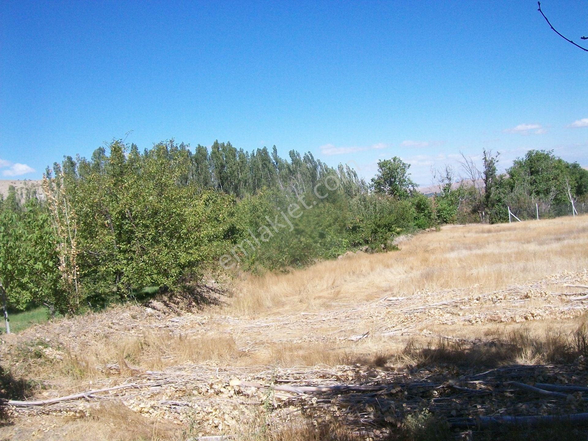 Konya Ereğli Gaybi Mah.de 184 Ada 7 Parselde 4.285 M² Baçe - Görsel 5