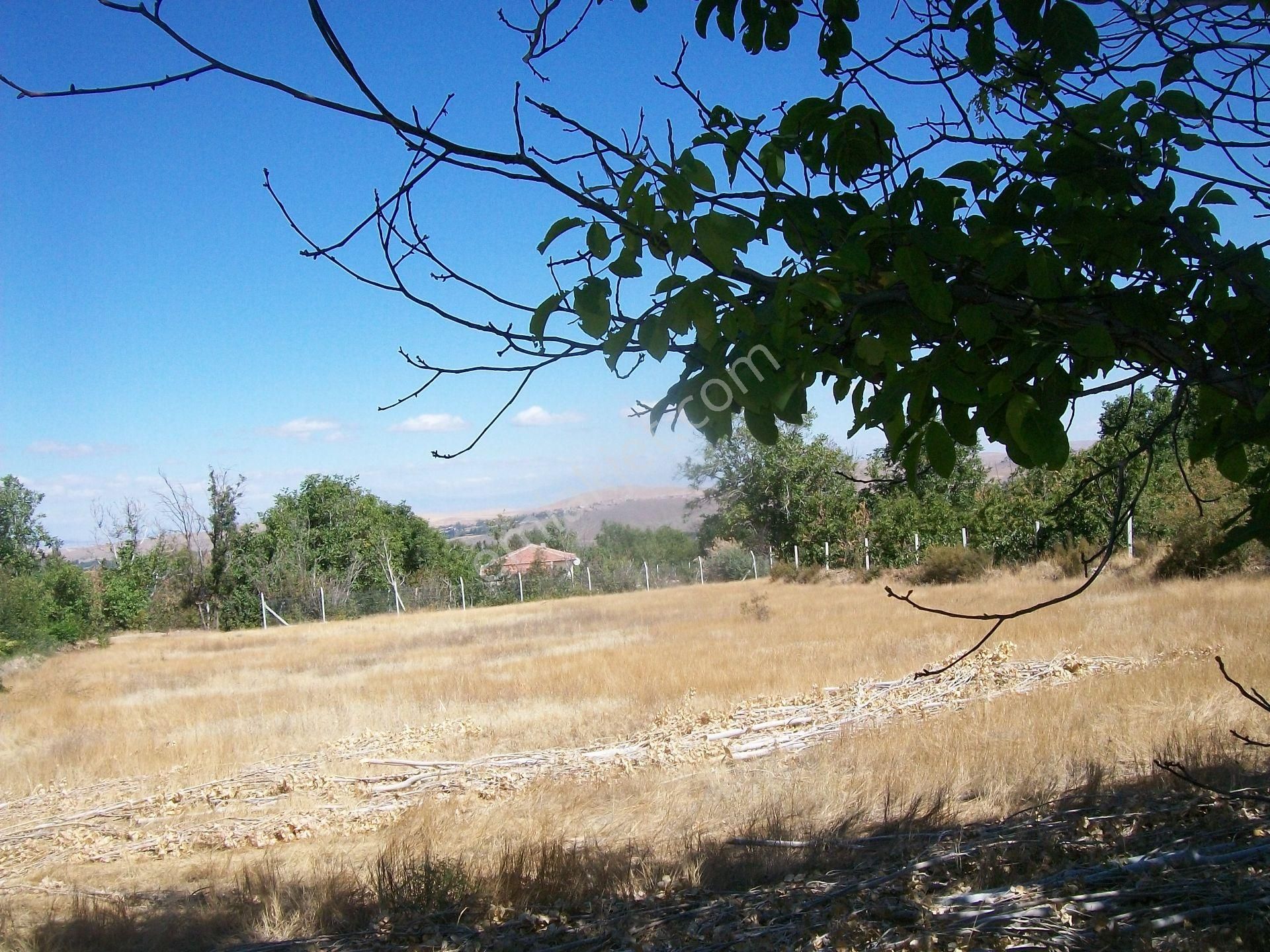 Konya Ereğli Gaybi Mah.de 184 Ada 7 Parselde 4.285 M² Baçe - Görsel 4