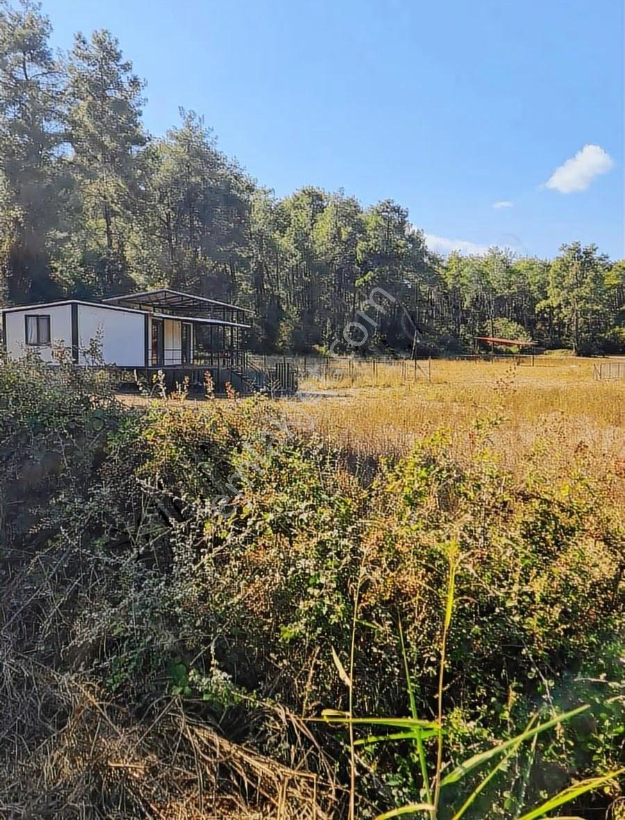 Zeytinalanı 500 M2 Satılık 2b Bahçe. - Görsel 29